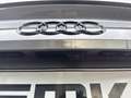 Audi RS5 Coupe 2.9 TFSI quattro Carbondach  Navi Leder Digi Gris - thumbnail 22