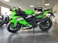 Kawasaki Ninja ZX-4RR Vert - thumbnail 2