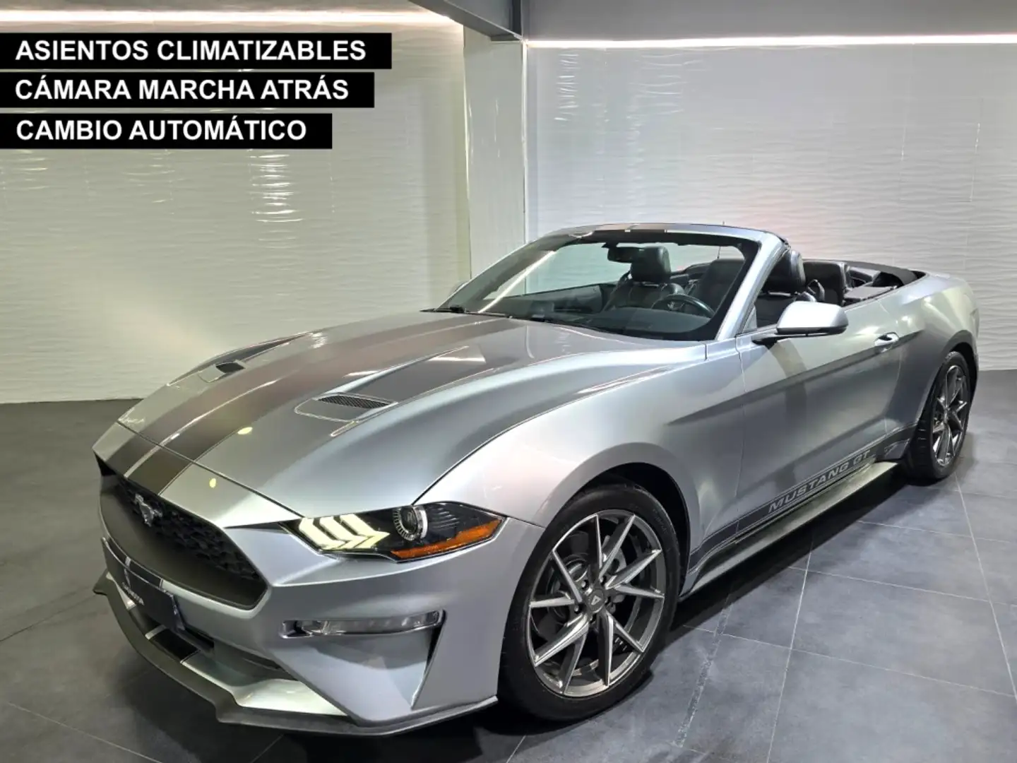 Ford Mustang Convertible 2.3 EcoBoost Aut. Gris - 1