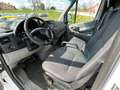 Mercedes-Benz Sprinter 318/319 3.0CDI Automatik Xenon Anhängerkupplung Beyaz - thumbnail 7