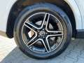 Mercedes-Benz GLE 350 d 4M AMG Line AHK|KeyGo|MBeam|Pano|TWA Bianco - thumbnail 12