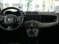 Fiat Panda 4x4 Rock *ANHÄNGERKUPPLUNG*ALLRAD*1.HAND* Silber - thumbnail 9