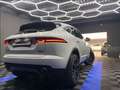 Jaguar E-Pace awd 200cv Bianco - thumbnail 5