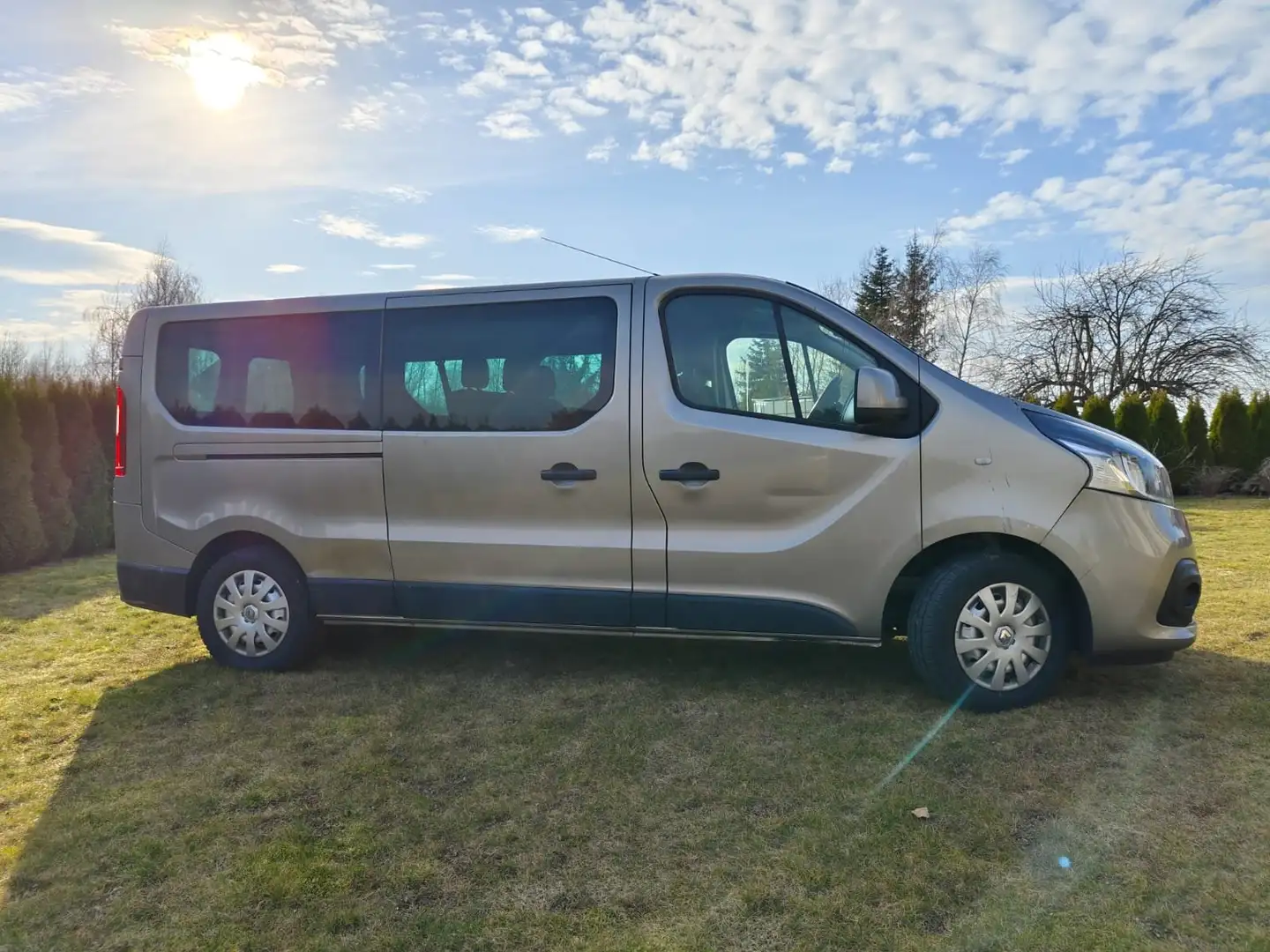 Renault Trafic Trafic Generation 2,0 dCi 115 DPF Generation Bronce - 2