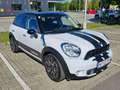 MINI Countryman S All4 Kurvenlicht, Komplettbremse neu, neu Service Weiß - thumbnail 3