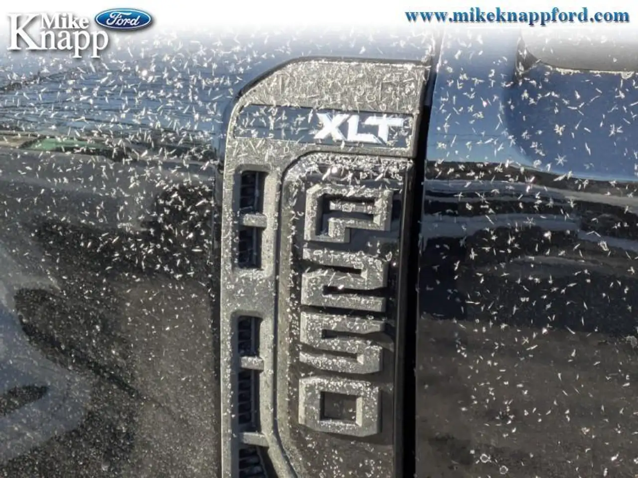 Ford F 250 снимка Ford F 250