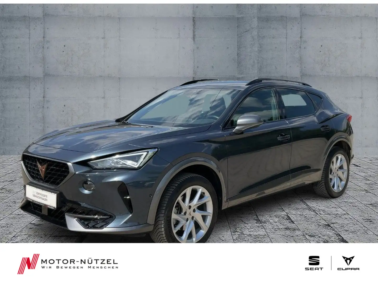 CUPRA Formentor 2.0 TSI DSG 4DRIVE LED+NAVI+KAMERA+SHZ Gris - 1