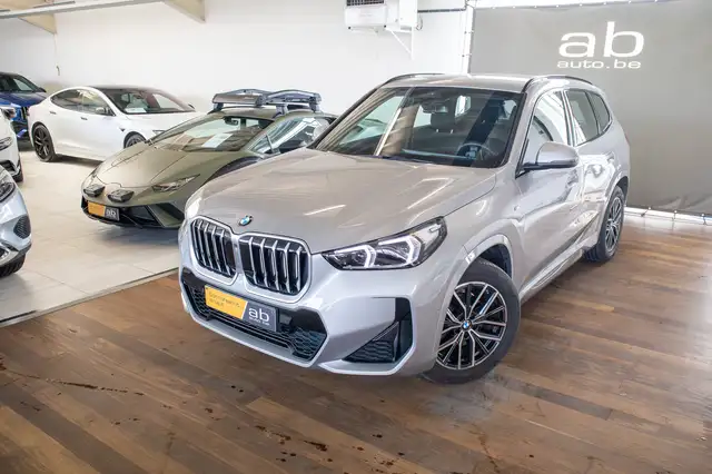 BMW X1 view 2