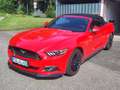 Ford Mustang Mustang Cabrio 5.0 Ti-VCT V8 Aut. GT Rot - thumbnail 1