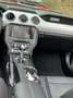 Ford Mustang Mustang Cabrio 5.0 Ti-VCT V8 Aut. GT Rot - thumbnail 7