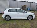 Volkswagen Golf 8 (Stock ID 90076) Blanc - thumbnail 9