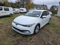 Volkswagen Golf 8 (Stock ID 90076) Blanc - thumbnail 1