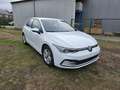 Volkswagen Golf 8 (Stock ID 90076) Blanc - thumbnail 3