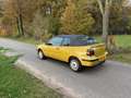 Volkswagen Golf Cabriolet 1.8 Trendline 99dkm Topstaat Gelb - thumbnail 4