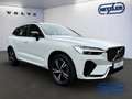 Volvo XC60 R Design AWD B5 Diesel EU6d AHK Navi Leder Digital Weiß - thumbnail 2