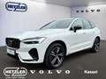 Volvo XC60 R Design AWD B5 Diesel EU6d AHK Navi Leder Digital Weiß - thumbnail 1