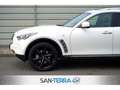 Infiniti QX70 ULTIMATE 3.7 GT LEDER*KEYLESS*MULTI-LENKRAD*MEMORY Weiß - thumbnail 12
