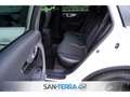 Infiniti QX70 ULTIMATE 3.7 GT LEDER*KEYLESS*MULTI-LENKRAD*MEMORY Weiß - thumbnail 36
