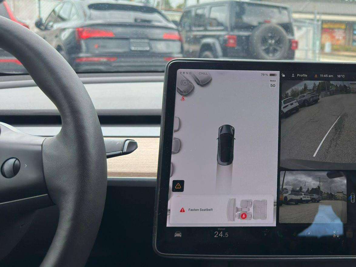 2021 Tesla Model 3 — view 12