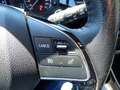 Mitsubishi Outlander 2,2 DI-D AS&G Intense+ AHK/7Sitze/Kamera Rot - thumbnail 13