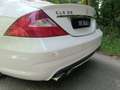 Mercedes-Benz CLS 55 AMG Classe CLS 55 AMG A Weiß - thumbnail 6
