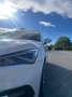 SEAT Leon 1.5 TSI 85 kW Style Weiß - thumbnail 7