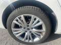 SEAT Leon 1.5 TSI 85 kW Style Weiß - thumbnail 21