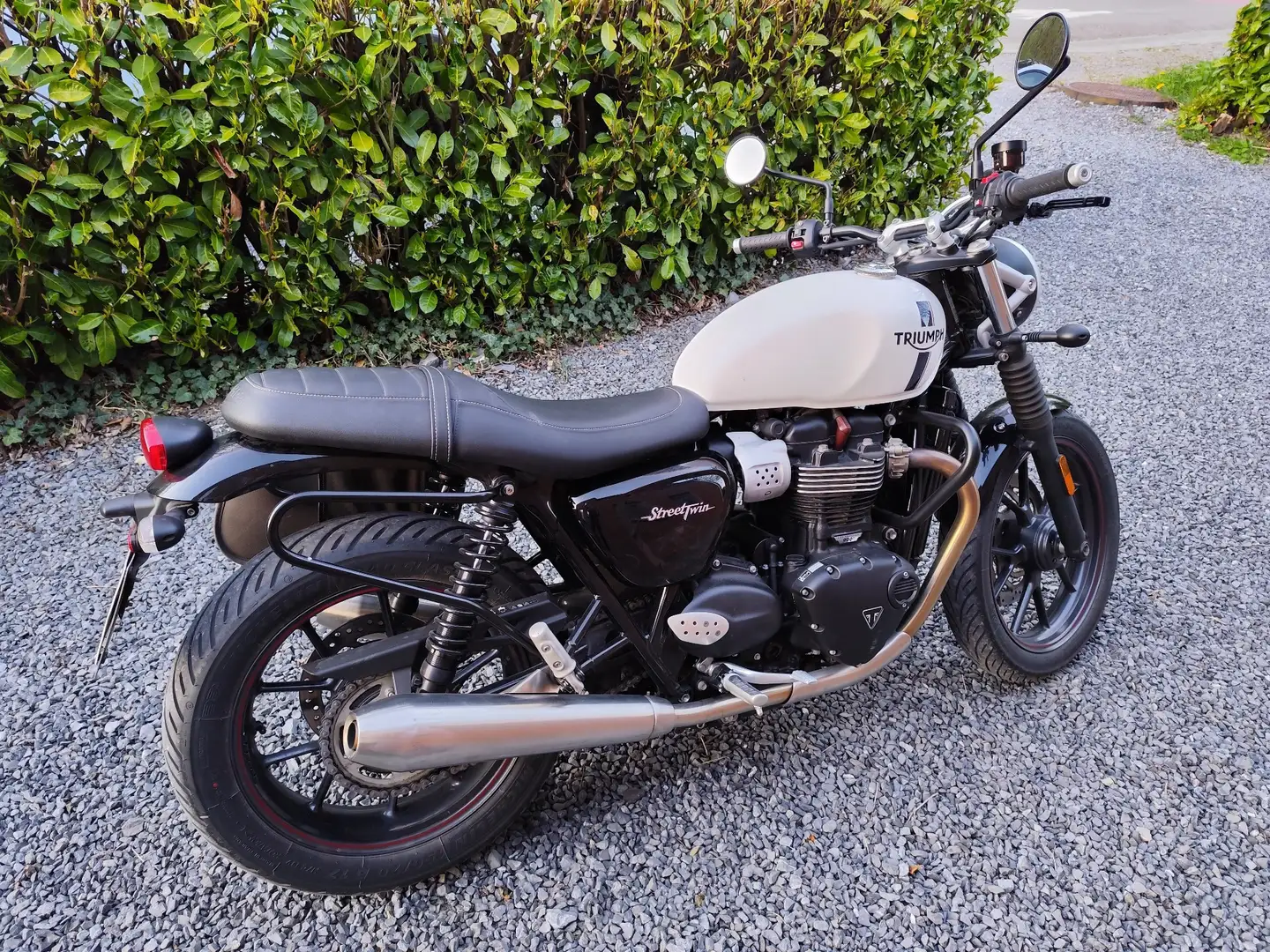 Triumph Street Twin Blanc - 1