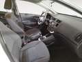 Kia Rio 1.2 Concept Blanco - thumbnail 10