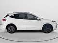 Ford Kuga 2.5 Duratec PHEV ST-Line 4x2 Blanco - thumbnail 2