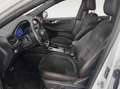 Ford Kuga 2.5 Duratec PHEV ST-Line 4x2 Blanco - thumbnail 11