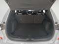 Ford Kuga 2.5 Duratec PHEV ST-Line 4x2 Blanco - thumbnail 14