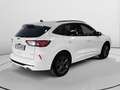 Ford Kuga 2.5 Duratec PHEV ST-Line 4x2 Blanco - thumbnail 3