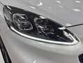 Ford Kuga 2.5 Duratec PHEV ST-Line 4x2 Blanco - thumbnail 27
