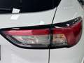 Ford Kuga 2.5 Duratec PHEV ST-Line 4x2 Blanco - thumbnail 28