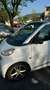 smart forTwo 1.0 Passion 84cv Bianco - thumbnail 8