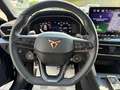 CUPRA Leon 2.0 TDI 150 CV DSG Nero - thumbnail 10