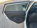 Ford Fiesta 1.5 TDCi 75CV 5 porte Titanium Bianco - thumbnail 10