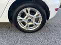 Ford Fiesta 1.5 TDCi 75CV 5 porte Titanium Bianco - thumbnail 11