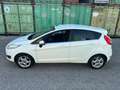 Ford Fiesta 1.5 TDCi 75CV 5 porte Titanium Bianco - thumbnail 5
