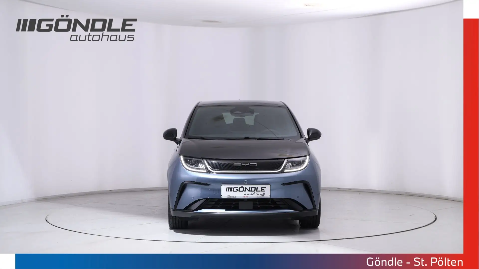 BYD Dolphin Dolphin Design Ö-Paket Grau - 2