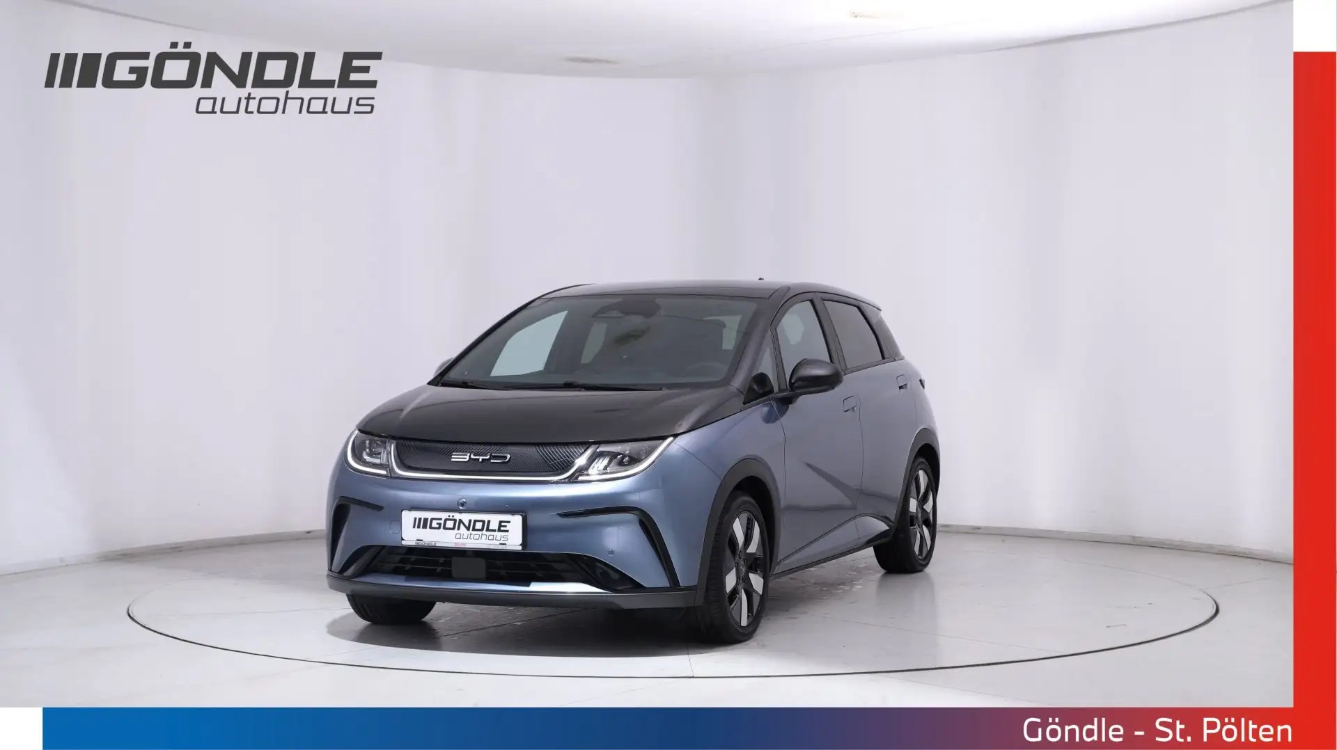 BYD Dolphin Dolphin Design Ö-Paket Grau - 1