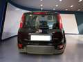 Fiat Panda My24 1.0 70cv Hybrid Panda Nero - thumbnail 6