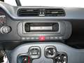 Fiat Panda My24 1.0 70cv Hybrid Panda Nero - thumbnail 13