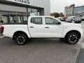 Nissan Navara 2.3dci d.cab Visia 4wd 163cv '19 Gancio Tapparella Bianco - thumbnail 5