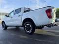 Nissan Navara 2.3dci d.cab Visia 4wd 163cv '19 Gancio Tapparella Bianco - thumbnail 7