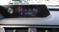Lexus UX 200 UX 2019 250h 2.0 Executive 4wd cvt Schwarz - thumbnail 16