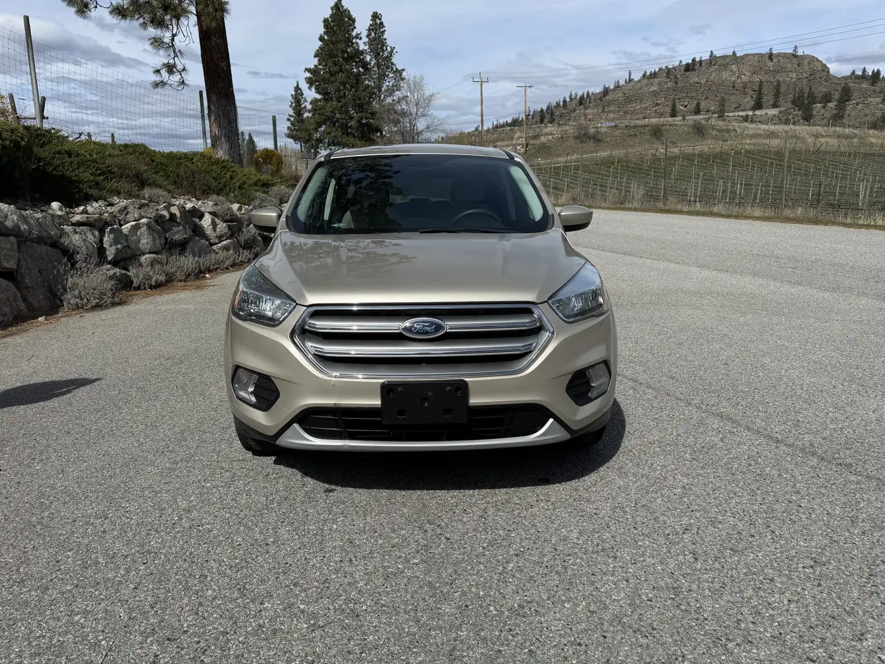 Ford Escape снимка Ford Escape