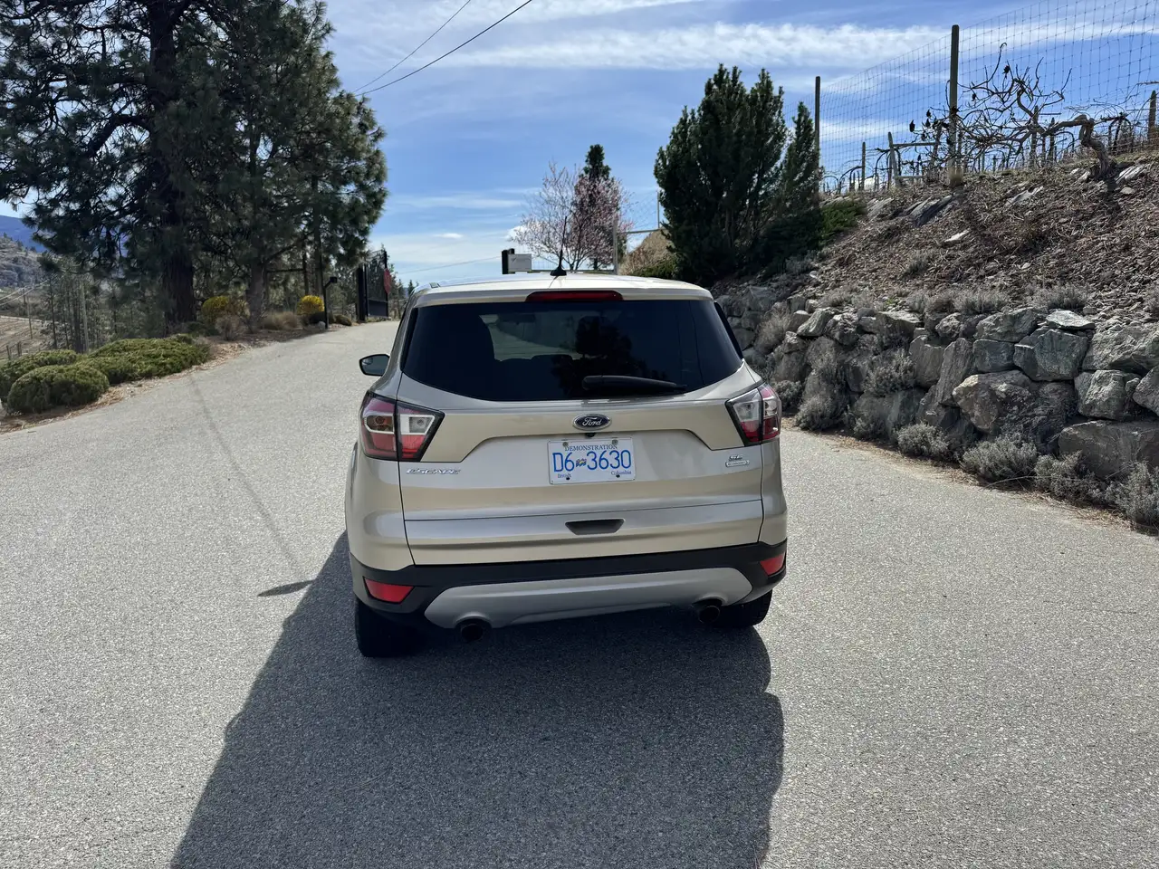 Ford Escape снимка Ford Escape