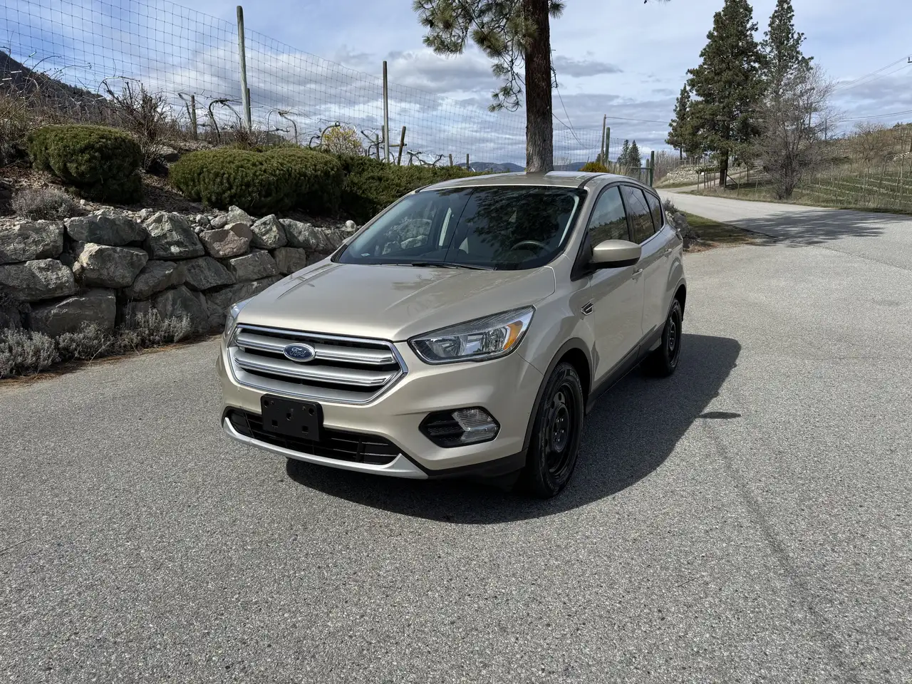 Ford Escape снимка Ford Escape